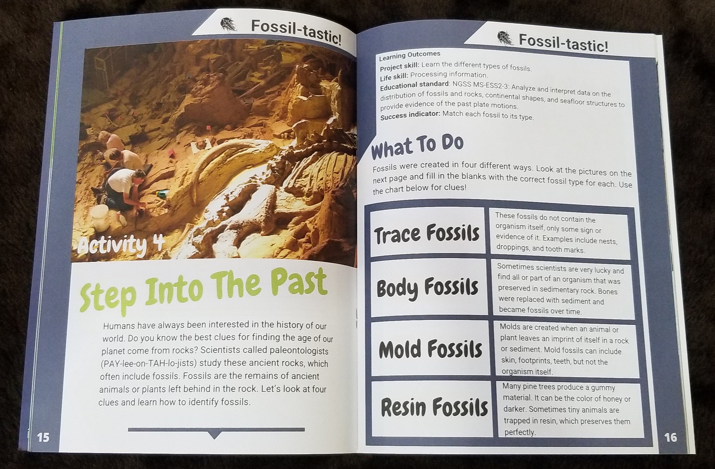 Rocks, Minerals, and Fossils