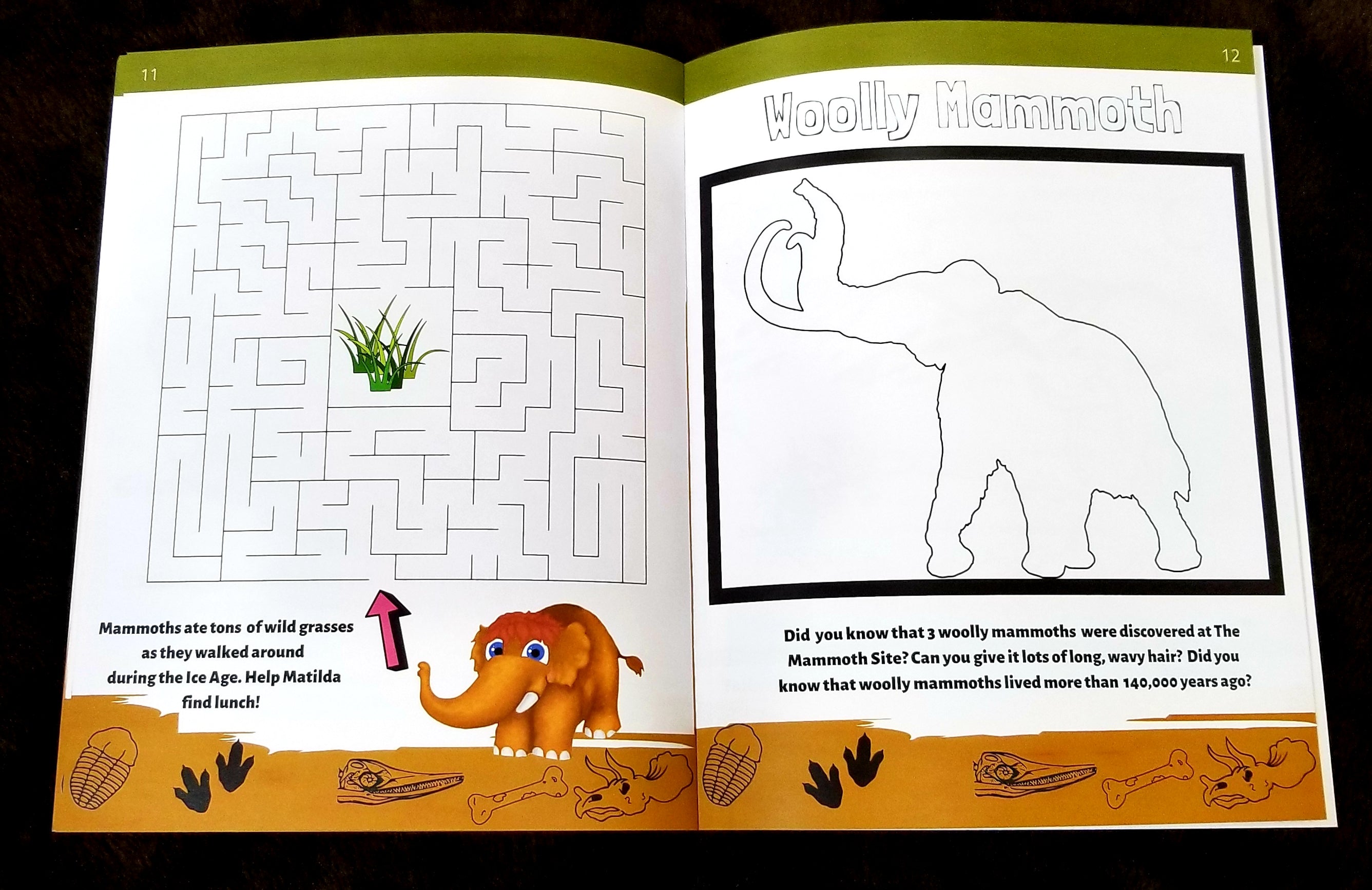 I Can Dig Big Activity Book