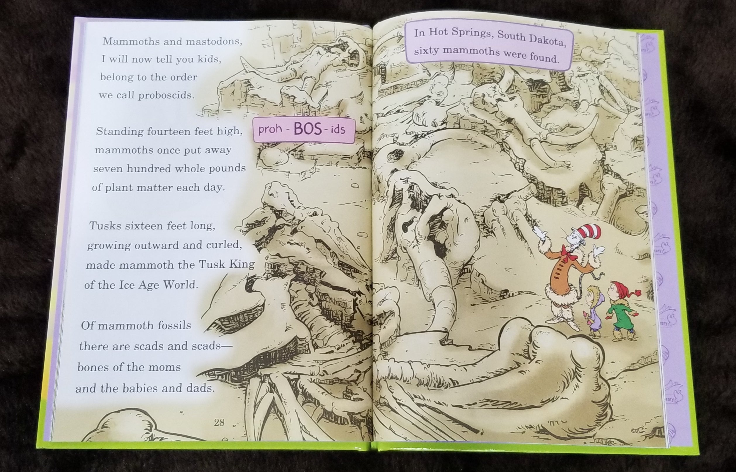 Once Upon a Mastodon