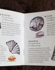 Dig Into Fossils Book 