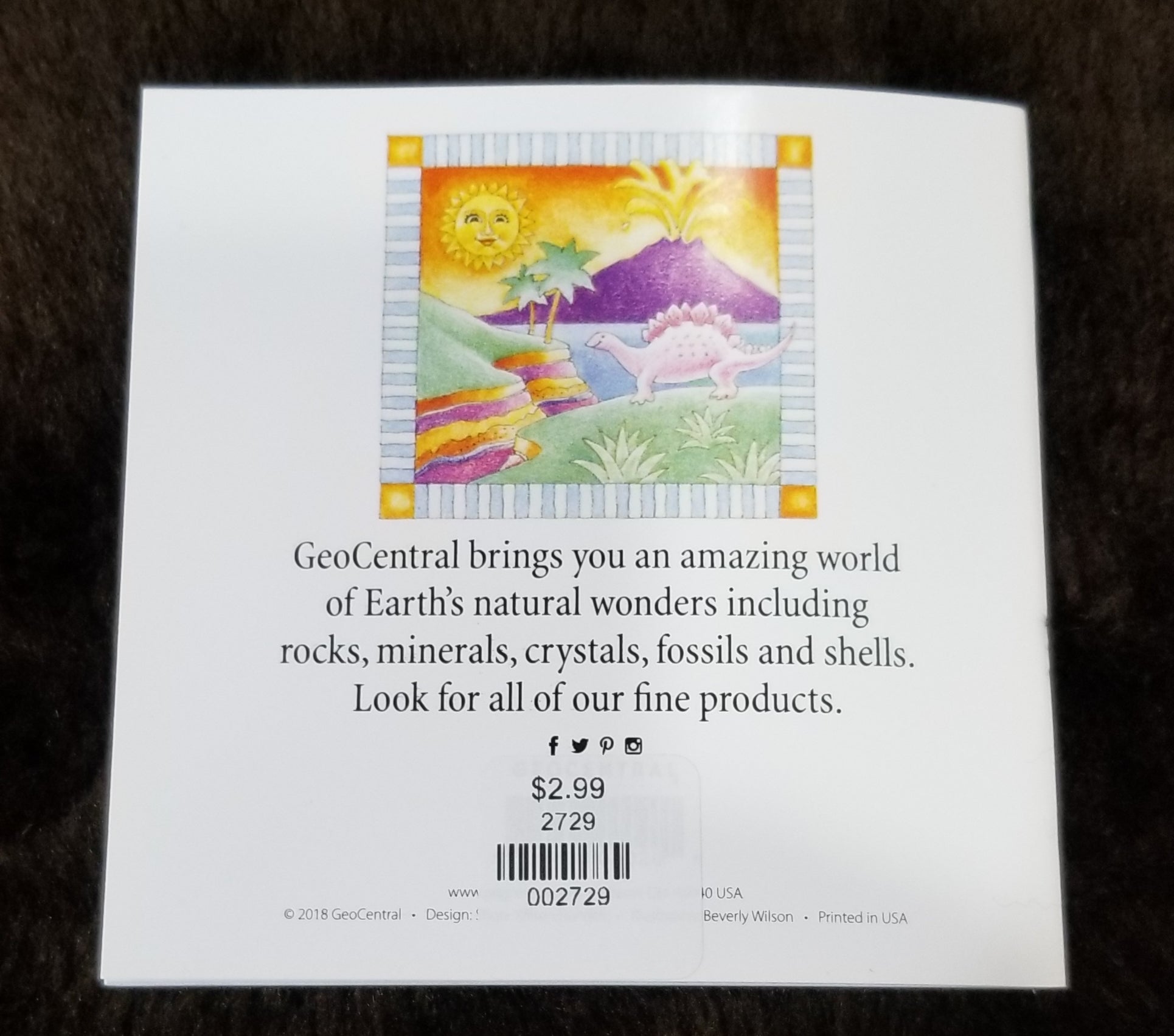 Dig Into Fossils Book 