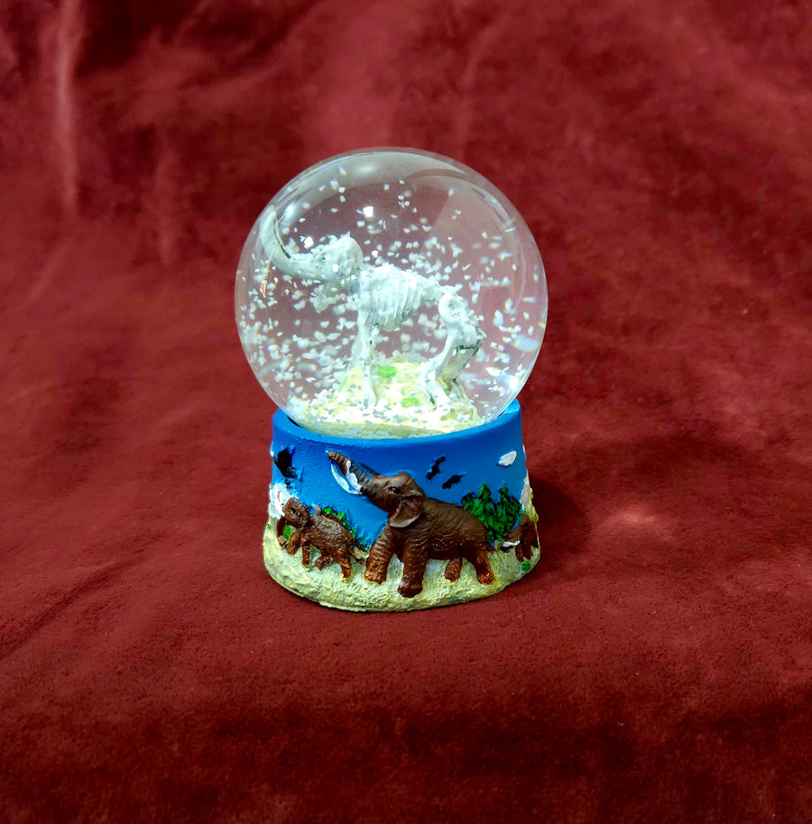 Mammoth Snow Globe