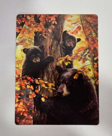 47376 3DP Black Bear & Cubs Postcard