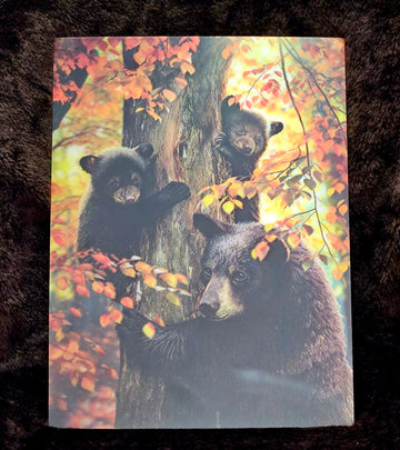 47376 3DF Black Bear & Cubs Poster