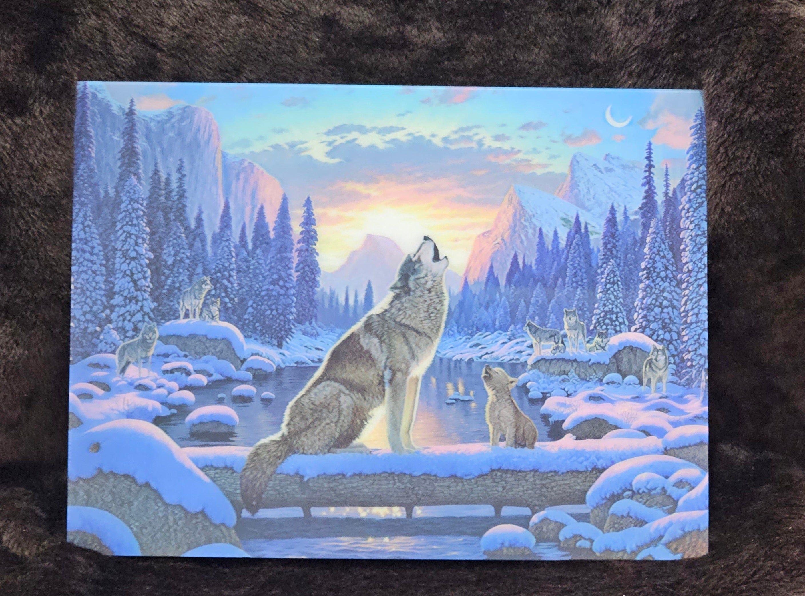 47169 3DF Dawn Wolves Poster